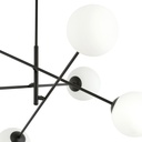 1169_6-4.jpg