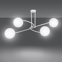 734_4w-2.jpg