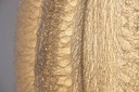 Pendant Lamp - Loofah - L - Naturel - Zenza