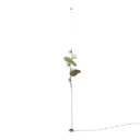 Almond II Pendant Lamp