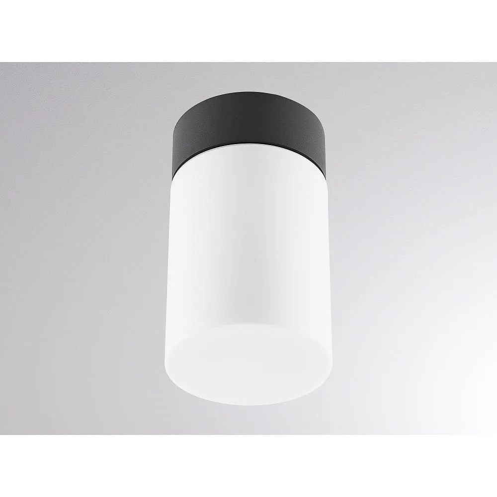 [MOL-333-00022] Molto Luce Plafoniera da esterno WILLIAM SD E27 IP65, antracite dimmerabile (MOL-333-00022)